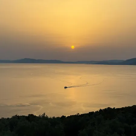 Wishflower * Lefokastro