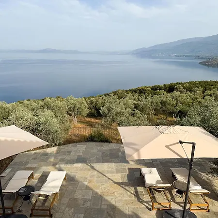 Wishflower Lefokastro