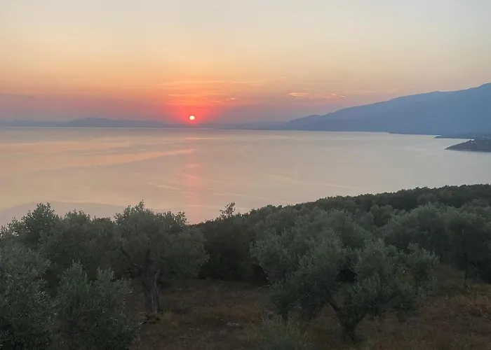 Wishflower Gasthuis *