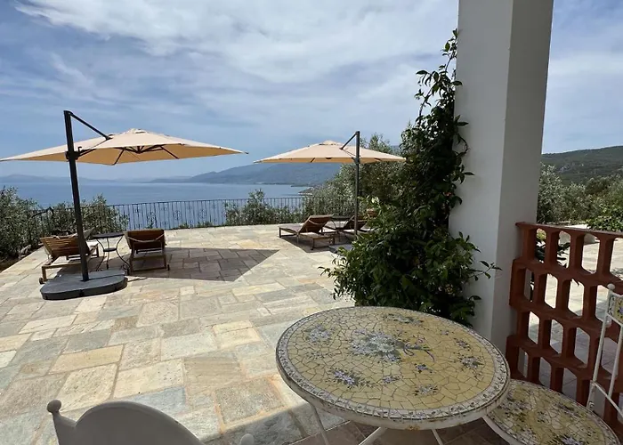 Wishflower Lefokastro