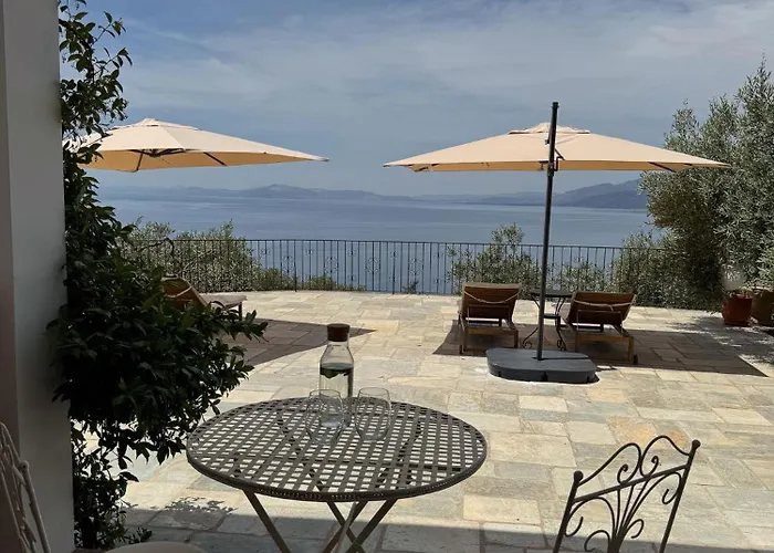 Wishflower Lefokastro