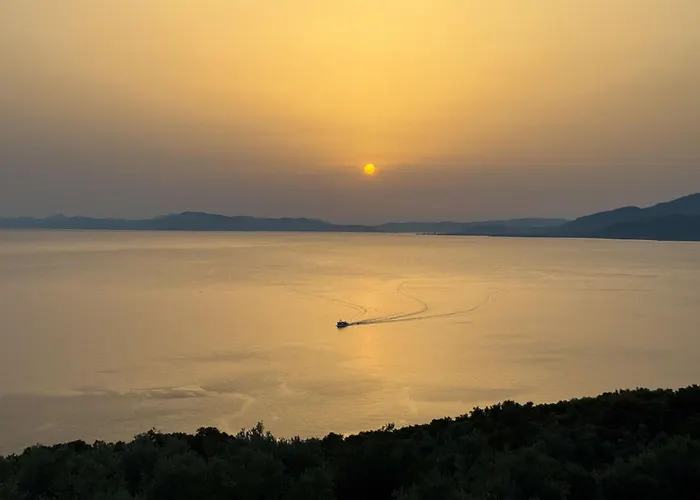 Wishflower * Lefokastro