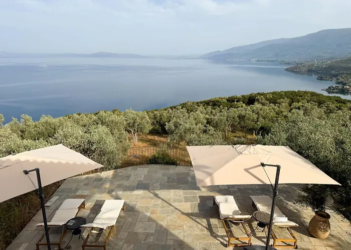 Wishflower Lefokastro