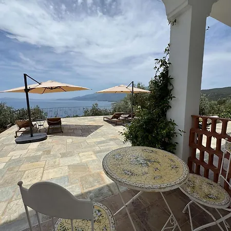 Wishflower Lefokastro