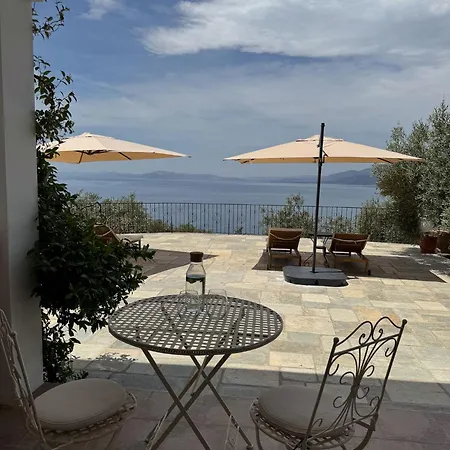 Wishflower Lefokastro